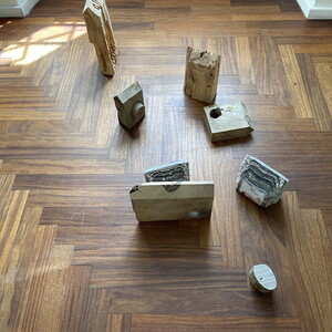 Wilhelm Scheruebl behaust, 2017?2022  Nussholz, Fichtenholz, von Ameisen ausgeh?hlt; Lackschichten auf Fichtenholz  Gr??e variabel; 40x60x20 cm