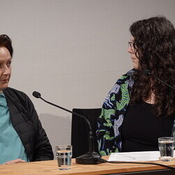  Diagonale-Werkstattgespräch: PRINZpod - die Kunstkomplizen. Nathalie Pollauf im Gespräch mit Brigitte Prinzgau, Thomas Podgorschek und der Regisseurin Ebba Sinzinger