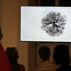 Finissage_Wilhelm Scheruebl_Gehen_Vergehen. Foto: KULTUM/Hopper