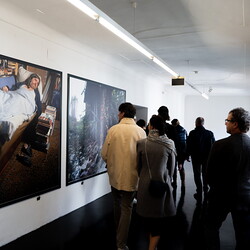 LEBEN NACH DEM TOD? Kuratorenführung mit Johannes Rauchenberger in Zlatko Kopljars Schau 'AUSLÖSCHUNG' am 2.11.2024Foto: Adnan Babahmetovic