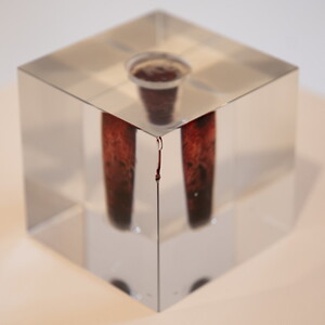 Foto: KULTUM/Adnan Babahmetovic Zlatko Kopljar, K8, 2002,
Performance, Kristallcubus mit Blut, Fotodokumentation
Video, Dauer: 7‘, Gallery Miroslav Kraljević, Zagreb, 2002
Kamera: Davor Mezak; Fotograf: Mio Vesović
KULTUMUSEUM Graz, aus: Mitleid | Compassion (2012)
Ausstellungsa