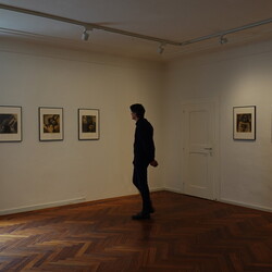   Kuratorenführung mit Johannes Rauchenberger, Ausstellung: 'Im Bann (s)einer großen Erzählung: Josef Fink (1941-1999), 15. März 2025