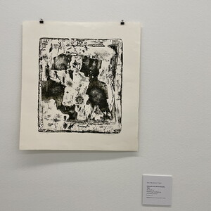 Alois NEUHOLD (*1951)  Erde gib mir deine Einsicht, 1981 43,7x23 cm Radierung, Durch?tzung,  Aquatinta auf Zink E.d.A. 4/1  KULTUMUSEUM Graz, Sammlung Wolf WN: 44009