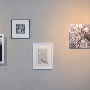 Peter Angerer: „Kafkas Tiere“, 2020Grafikprojekt 23 Teile, 6 Arbeiten Textgrafik/Zeichnung/Schnur im Objektrahmen, je 30cm x29cm, Radierung/Zeichnung insgesamt 7 Arbeiten,30cm x 30cm (2) , 30cm x 40cm (3), 40cmx 50cm (1), 1 Objektbild (Text, Sch