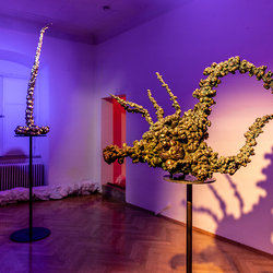 HENRY JESIONKA_FLEEING SHADOWS_Ausstellungseröffnung am 15. Juni 2023. Foto: © La Strada Graz / Nikola Milatovic