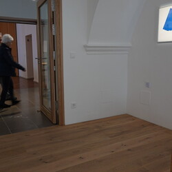   Kuratorenführung mit Johannes Rauchenberger, Ausstellung: 'Im Bann (s)einer großen Erzählung: Josef Fink (1941-1999), 15. März 2025