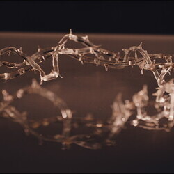 'Fundamentalismus' – 11.Themenführung in der Ausstellung 'Gott hat kein Museum' mit Kurator Johannes Rauchenberger am 28.2.2026