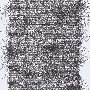 Peter Angerer: Kafka Projekt, 2020:??Kafkas Tiere?Bild/Objekt Installation mit Textarbeiten, Druckgrafik, Foto, Tierpr?parat