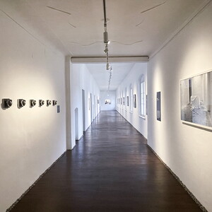 Ausstellungsansicht: Zlatko Kopljar: AUSLÖSCHUNG | ERASION. KULTUMUSEUM Graz, 27. Sept. 2024 – 12. Jan. 2025 Kurator: Johannes Rauchenberger 