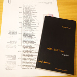 Der doppelte Gast: Franz Dodel - Mila Haugov?: 'Mit der Zeit wird selbst ein Papagei vermutlich'. Moderation: Barbara Rauchenberger KULTUM, 22.10.2020 Foto: KULTUM/Johannes Rauchenberger