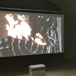 Führung mit Kurator Johannes Rauchenberger durch die Ausstellung 'Auslöschung' von Zlatko Kopljar