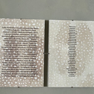 Wilhelm Scheruebl Merida Walks (Fragment), 2022/23  Pr?gedrucke von P?anzen auf B?ttenpapier 40x40; 40x80; 80x80 cm Rauminstallation 