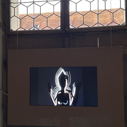 Marianne MadernaPope, 2011 Video, 3? 472-teilig, Videostill geprintet auf Dibond 45x60 cmKULTUMUSEUM Graz, aus: IRREALIGIOUS! Parallelwelt Religion in der Kunst der Gegenwart (2011/12)
