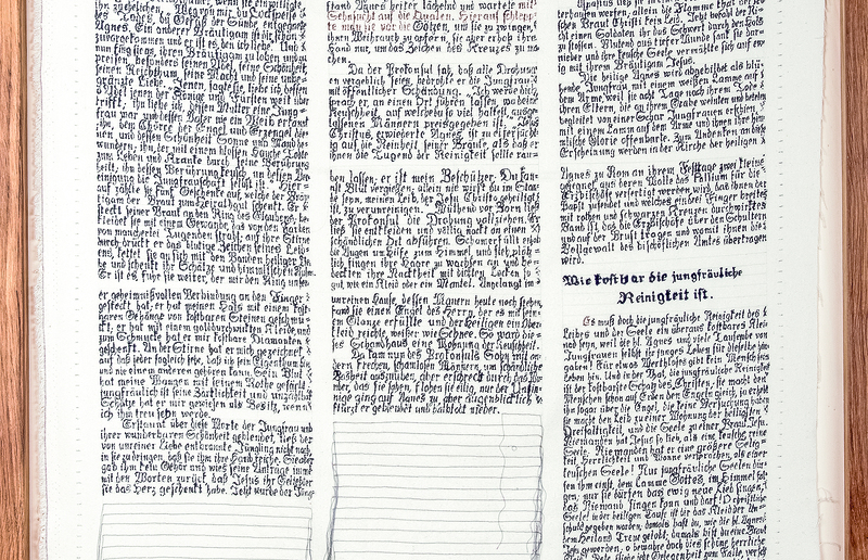 Agnes (Reliquien: Blut, Haare); 106 x 81 cm, aus: Göttlicher Humor, 2017, Bleistift, Acrylstifte auf Naturseide, Reliquien, handgefertigter Eichenrahmen, Text von Georg Ott, KULTUMdepot Graz, aus: Glaube Liebe Hoffnung, 2018. / Hannes Priesch