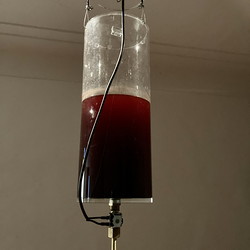 Till Velten_DIE ANDERE MARIA_KULTUM Graz_März 2022