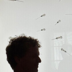 Ausstellung Maaria Wirkkala: NUN MEHR – MEANTIME: Führung mit Kurator Johannes Rauchenberger, 15. Juli 2025, mit Rotary-Club Graz-Neutor