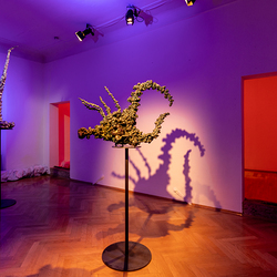 HENRY JESIONKA_FLEEING SHADOWS_Ausstellungseröffnung am 15. Juni 2023. Foto: © La Strada Graz / Nikola Milatovic