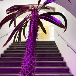 GEHEN&VERGEHEN. Wilhelm Scheruebl. Foto: KULTUM/A. Hopper