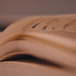 Jochen Höller,  * 1977 in Amstetten (AT), lebt in Wien (AT),  Wissen : Glauben, 2016,  Collage, Papier auf Karton, gerahmt: 114,6 x 182,5 cm; Auf der Ablage: (Holz): 182,5 x 18 cm: Die Bibel, die Lehren des Buddha, der Koran, die Upanishaden, die Tor