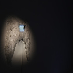 NINAVALE. Ausstellung: 'Paradise is temporarily closed. God' KULTUM Graz, 24. Oktober 2020 bis 12. Dezember 2020. Foto: KULTUM/Andrea Hopper