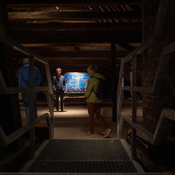 Lange Nacht der Museen, 4.Okt.2025: Führung mit Johannes Rauchenberger durch die Schau 'GOTT HAT KEIN MUSEUM. Aspekte von Religion in Kunst der Gegenwart'