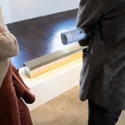 LEBEN NACH DEM TOD? Kuratorenführung mit Johannes Rauchenberger in Zlatko Kopljars Schau 'AUSLÖSCHUNG' am 2.11.2024Foto: Adnan Babahmetovic