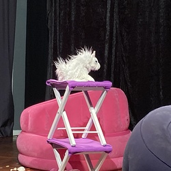 JUNGES PUBLIKUM_DAS EINHORN_Theatergeist & das Weite Theater_Berlin. Foto: KULTUM Graz