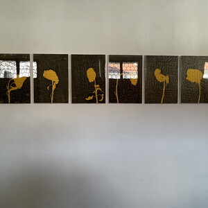 Wilhelm Scheruebl Sonnenblumenschatten hell, I, 2022/23  Tusche auf Transparentpapier,  29x42 cm