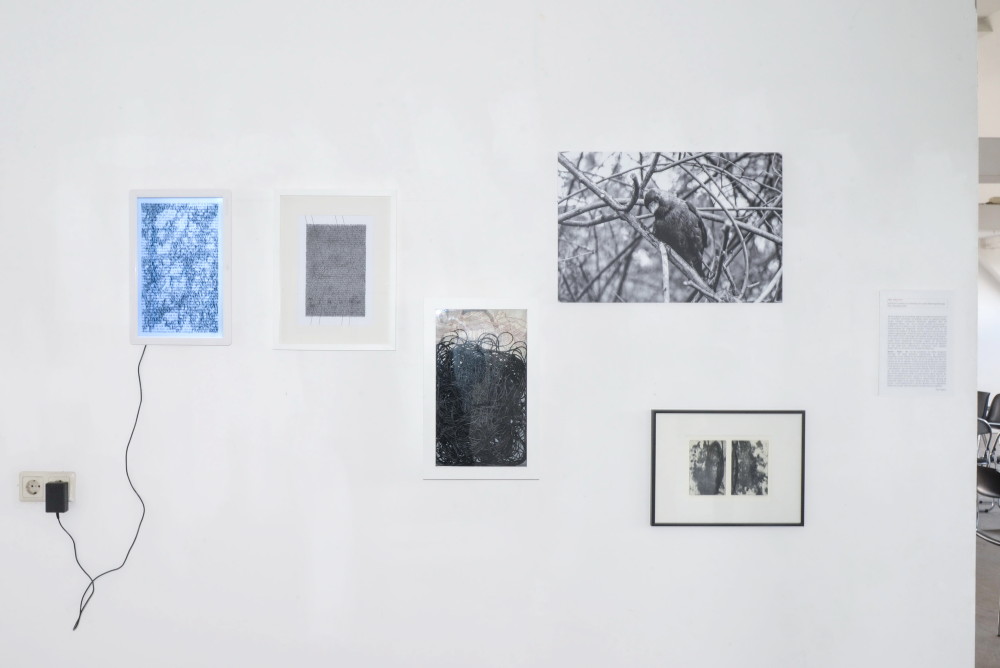 Peter Angerer: Kafka Projekt, 2020:??Kafkas Tiere?Bild/Objekt Installation mit Textarbeiten, Druckgrafik, Foto, Tierpr?parat