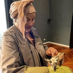 D'ÄRDGEISS_Figurentheater Margrit Gysin / Schweiz. Foto: KULTUM/A. Hopper