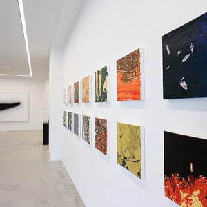 Wolfgang Temmel: Perspektivenwechsel. Ausstellung KULTUMUSEM Graz im Spiegelgitterhaus Gleisdorf, 12. April bis 31. Mai 2025  Kurator: Johannes Rauchenberger