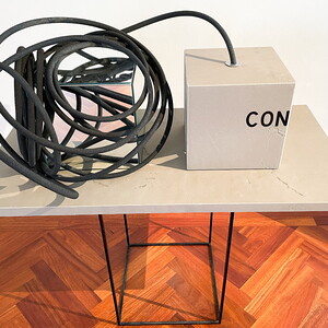 Peter Angerer: „Transparency – Control“, 2022, Tisch –Objektinstallation, Metallgitterkubus, präparierteTischplatte, 2 Kuben, Holz/Spiegel, Klebebuchstaben,Schlauch, ca. 40cm x 120cm x 130cm
