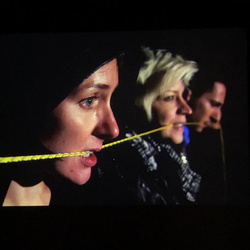 Führung mit Kurator Johannes Rauchenberger durch die Ausstellung 'Auslöschung' von Zlatko Kopljar