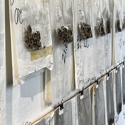 GEHEN & VERGEHEN. Wilhelm Scheruebl. Foto: KULTUM/Hopper