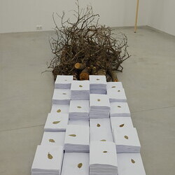                                 Er?ffnung der Sommer-Ausstellung im Spiegelgitterhaus Gleisdorf am 20. Juni 2025:  'round and round she goes  and where she stops nobody knows'Eine Ausstellung ?ber die ZEIT, kuratiert von zweintopf Mit Werken von M