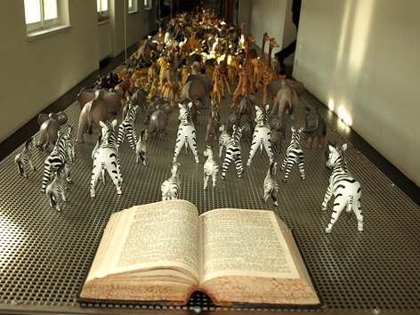 (c) Johannes Rauchenberger