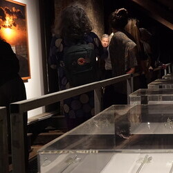 aktuelle kunst in Graz, Galerientage 2026: Künstleringespräch mit Claudia Schink und Themenführung #14 bei 'Gott hat kein Museum' mit Kurator Johannes Rauchenberger.  KULTUMUSEUM Graz, 25.4.2026