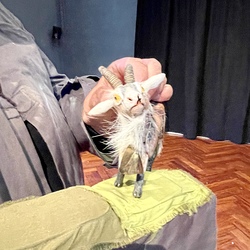 D'ÄRDGEISS_Figurentheater Margrit Gysin / Schweiz. Foto: KULTUM/A. Hopper