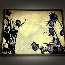 GEHEN&VERGEHEN. Wilhelm Scheruebl. Foto: KULTUM/A. Hopper