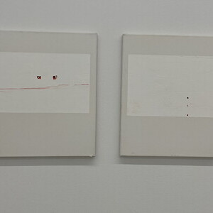 Gerhard Lojen (1935-2005) zum 20. Todestag und 90. Geburtstag: KULTUMUSEUM im Spiegelgitterhaus Gleisdorf, 17. Oktober 2025 bis 17. J?nner 2026Kurator: Johannes Rauchenberger