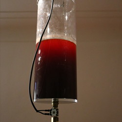 Till Velten_DIE ANDERE MARIA_KULTUM Graz_März 2022