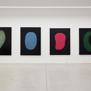 Wolfgang Temmel: Perspektivenwechsel. Ausstellung KULTUMUSEM Graz im Spiegelgitterhaus Gleisdorf, 12. April bis 31. Mai 2025  Kurator: Johannes Rauchenberger