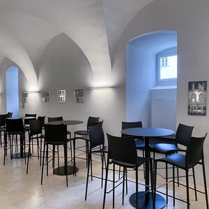 Michael Endlicher, Spiegellettern, 2024, Edelstahl, div. Größen, (18 Stk), Ausstellungsansicht: Michael Endlicher: ZEICHEN SPRACHE IRONIE, KULTUM Graz, 11. Mai bis 13. Juli 2024, Kurator: Johannes Rauchenberger