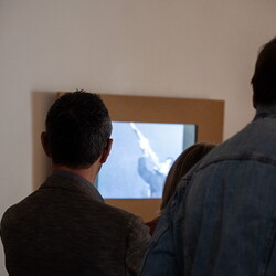 LEBEN NACH DEM TOD? Kuratorenführung mit Johannes Rauchenberger in Zlatko Kopljars Schau 'AUSLÖSCHUNG' am 2.11.2024Foto: Adnan Babahmetovic