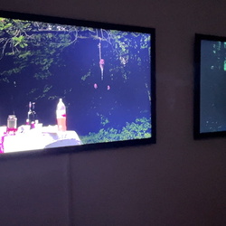 Führung mit Kurator Johannes Rauchenberger durch die Ausstellung 'Auslöschung' von Zlatko Kopljar