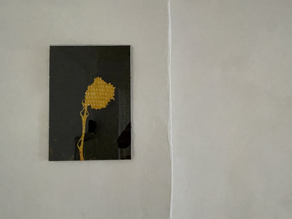 Wilhelm Scheruebl Sonnenblumenschatten hell, I, 2022/23  Tusche auf Transparentpapier,  29x42 cm