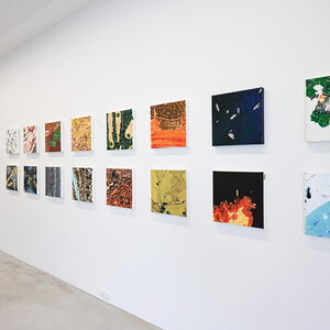 Wolfgang Temmel: Perspektivenwechsel. Ausstellung KULTUMUSEM Graz im Spiegelgitterhaus Gleisdorf, 12. April bis 31. Mai 2025  Kurator: Johannes Rauchenberger