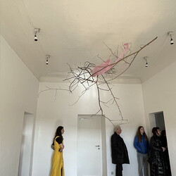 Eröffnung der Ausstellung: 'SISTERS OF THE LABYRINTH' von Renate Kordon und Tamara Friebel, KULTUM Graz, 2. März 2024. Foto: KULTUM/Johannes Rauchenberger