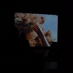 Filmabend mit Josephine Ahnelt am 27.2.2026 im Kultum