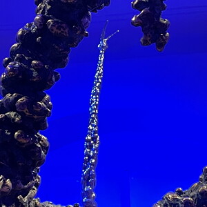 Henry Jesionka: vorne: T = +76.436, 2023, 0,8 m x 1,2 m, 0,8 m, patinierte und polierte Bronze, hinten: T= 0-73.191, 2023, Höhe: 2,5m, Gegossenes, poliertes Aluminium, Foto: Jesionka